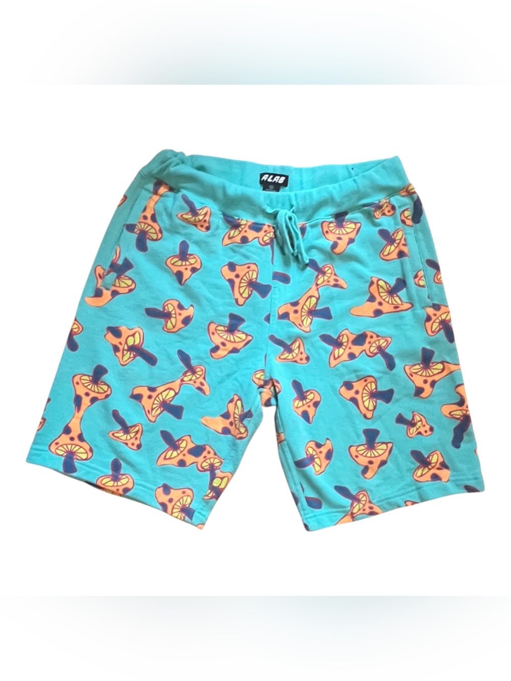 Zumiez A-Lab Foray Shrooms Turquoise Sweat Lounge Shorts size M